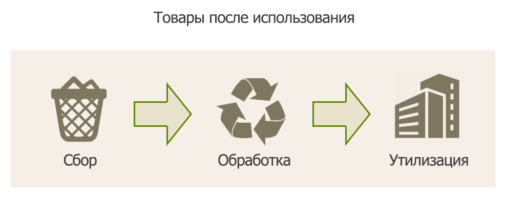 eco3.jpg