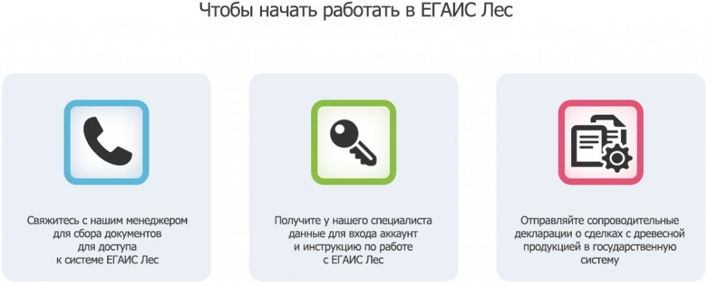 Егаис лес пошаговая инструкция Егаис лес пошаговая инструкция