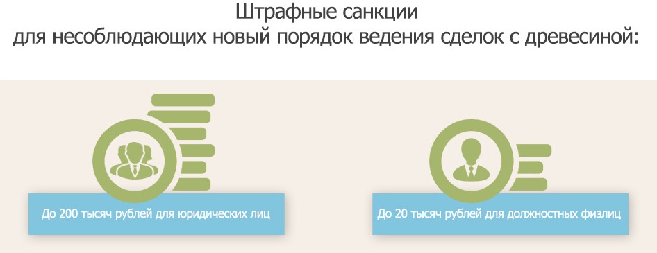 Новое В Егаис Лес С 2022 Года Новое В Егаис Лес С 2022 Года