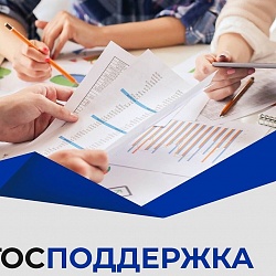 Государственная поддержка работодателей: субсидии на найм молодых специалистов